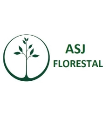 ASJ Florestal