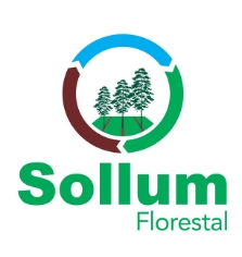 Logo Sollum